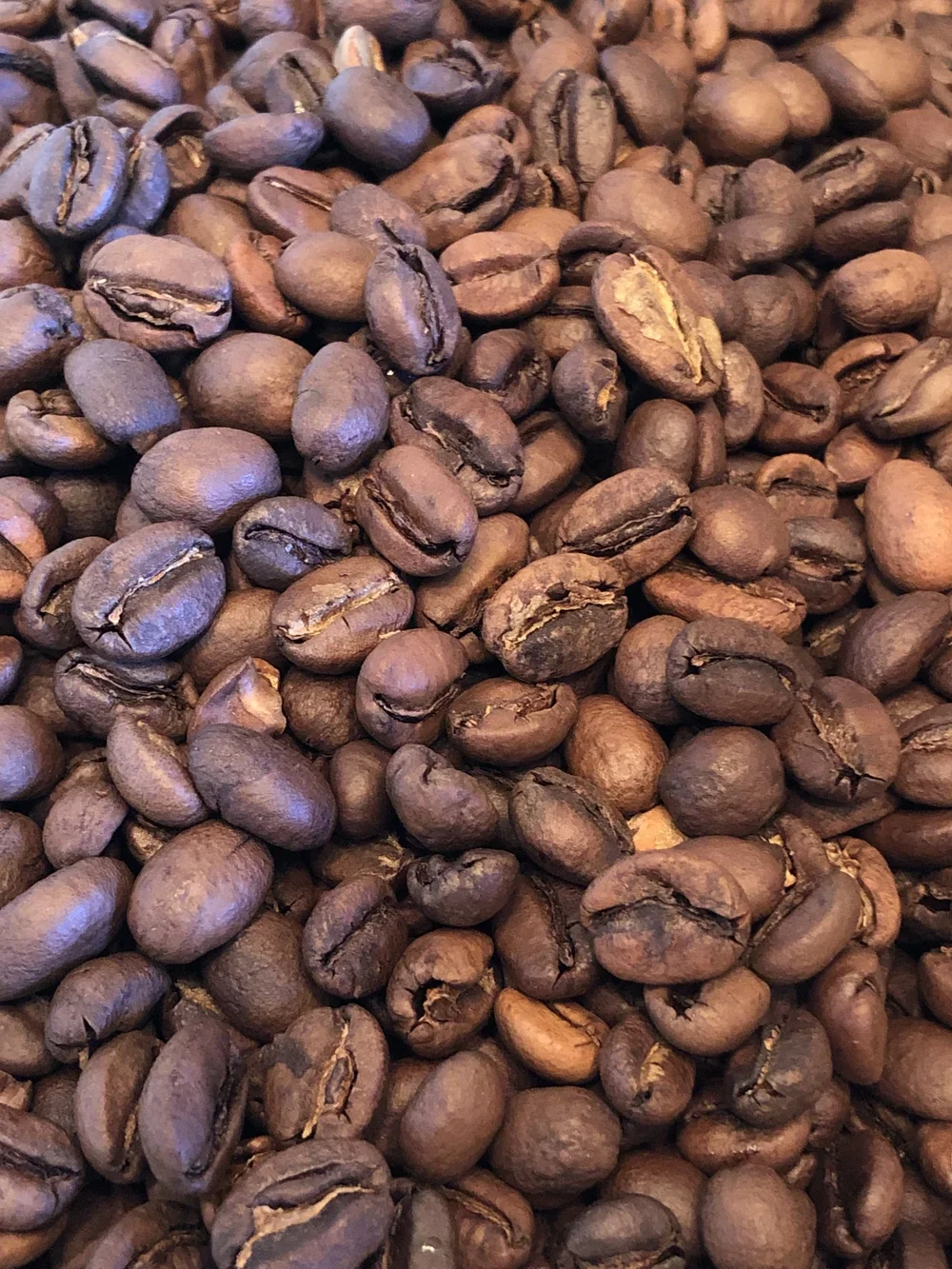 Ethiopia Yirgacheffe (5lb Bag) — Copperfox Coffee Roasters